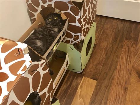 This cardboard cat condo is one of the best purchases I've made as a ...