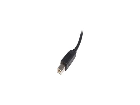 StarTech.com USB2HAB10 10 ft. USB 2.0 Certified A to B Cable - Newegg.com