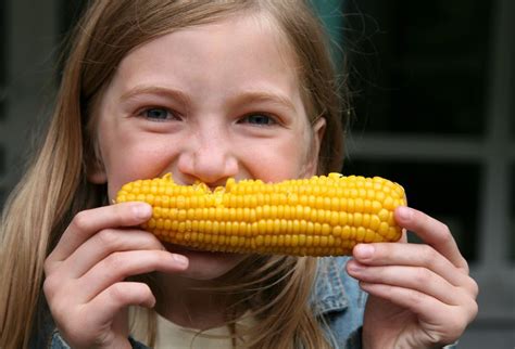 Healthy Afternoon Tea Ideas for Primary School Aged Kids | Inner West Mums