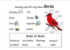 Classroom Freebies Too: Words for the Birds