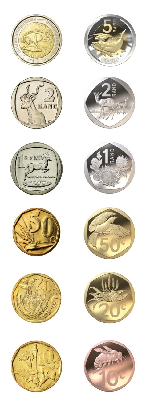 Check Out the New SA Coins to Be Used From January 2023 - Youth Village