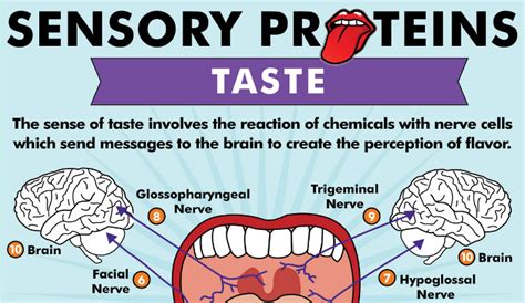 Posterior Tongue Tie Symptoms | HRFnd