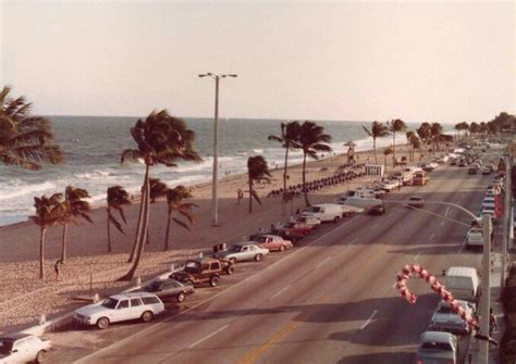 cars are parked on the side of the road next to the ocean and palm trees