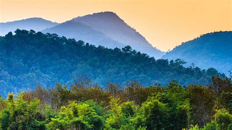 Five of China's most beautiful forests - CGTN