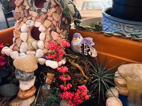 Fairy Succulent Garden | Etsy