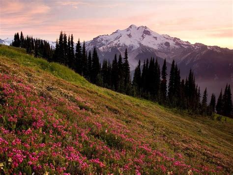 Glacier Peak, WA | Seattle Area | Pinterest