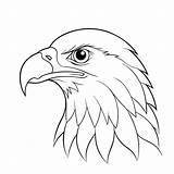 Eagle Head Coloring Page Vector  Premium AI Generated sketch template