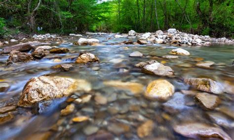 What's the Difference: River vs Creek Explained - Wiki Point