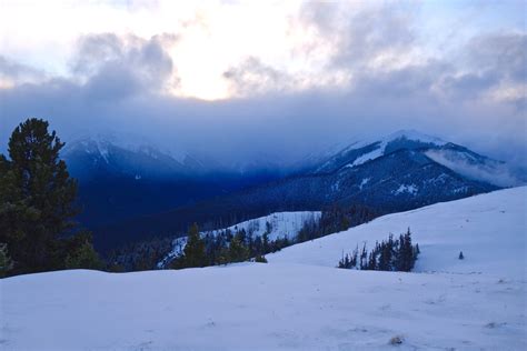 Snowshoeing Deer Ridge Trail, Olympic National Park – Hiker At Heart