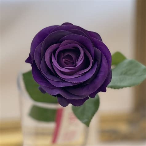 Elsa Single Open Rose Purple - Village Green