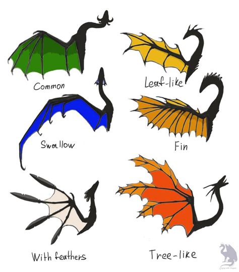 types of dragons | O esboço do dragão, Dragões, Asas desenho