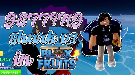 GETTING SHARK V3 IN ROBLOX BLOX FRUITS! (Road to race v4) - YouTube