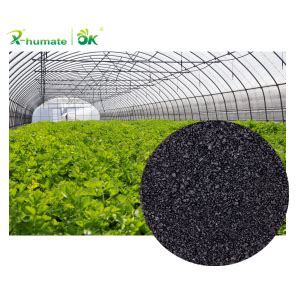 X®-humate Boron Humate Crystal Fertilizer | Acido-humico