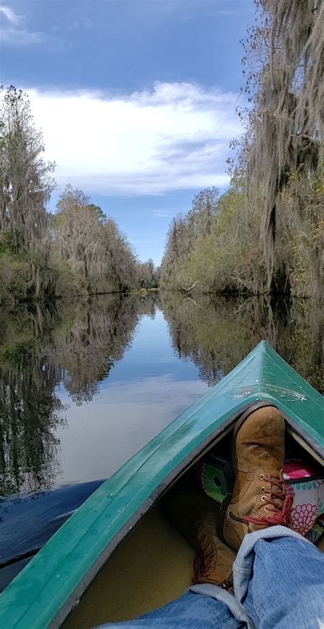 Okefenokee Swamp, GA : r/Kayaking