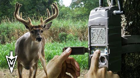 Fall Camera Strategies, Public Land Tactics | Midwest Whitetail - YouTube