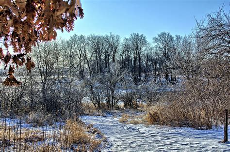 Ice Trees Photograph by Bonfire Photography - Fine Art America