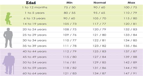 Presion Arterial Normal Por Edad | Renew Physical Therapy