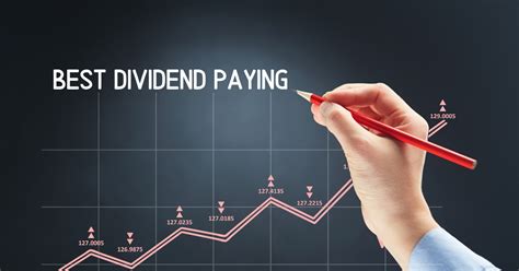 10 Best Dividend Mutual Funds In 2019 | Salary Guy