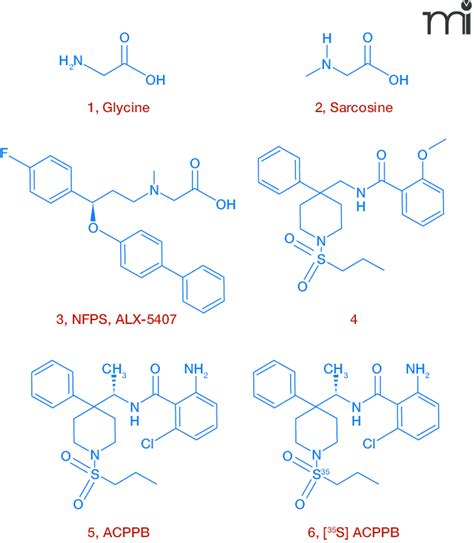 Design of GlyT1 Ligands. Structures of glycine 1 (co-agonist of the... | Download Scientific Diagram