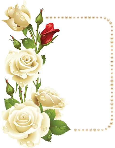 ForgetMeNot: white roses frames