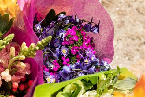 Purple Bouquet of Delphinium and Daisy Flowers Stock Image - Image of daisy, nature: 213195817