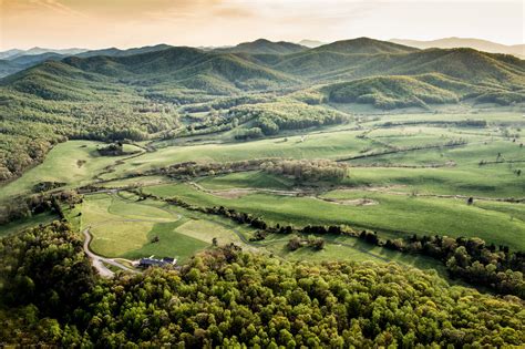 Pippin Hill Farm & Winery | Bushman Dreyfus Architects