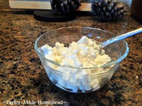 How to Use Soured Milk to Make Cottage Cheese – Mother Earth News ...