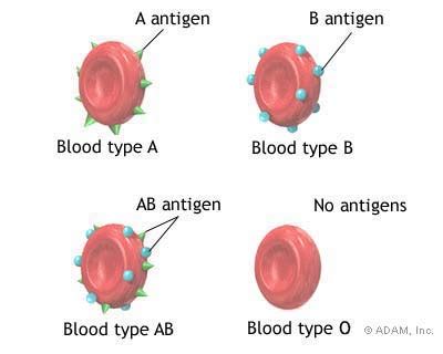 The New York Times > Health > Image > Blood Types