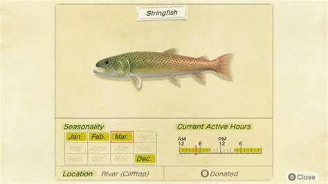 Animal Crossing: New Horizons: Stringfish - Where, When And How To ...