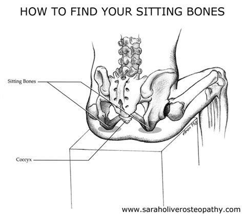 Sit on Your Sitting Bones for Less Back Pain | Osteopaths in ...