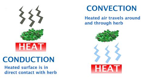 Conduction vs Convection Vaporizer Guide