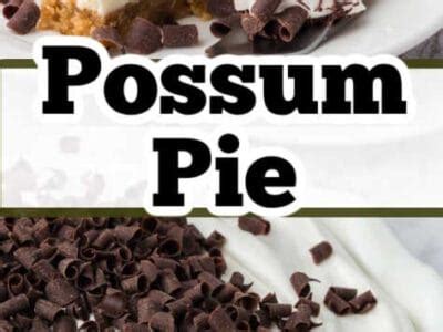 Possum Pie - Fantabulosity