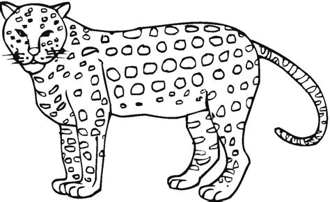 Cheetah Coloring Page Printable