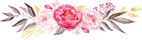Peony Clipart Photo In Flower Art Peonies Watercolor Flowers | My XXX Hot Girl
