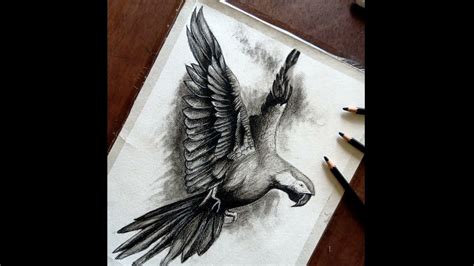 Charcoal Drawing & Illustration Marsh Artwork,Heron Drawing,Minimalist Charcoal Drawing ...