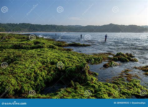 Sawarna beach stock image. Image of beach, lake, cliff - 289009935