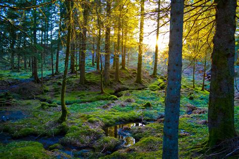 This Is Yet Another Reason To Fall In Love With Bergen In Norway ...