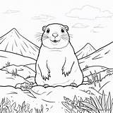 Gopher Coloring Pages  Free & Printable sketch template