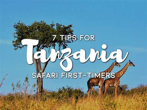 7 Tips for Tanzania Safari First-Timers - One Day Itinerary