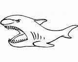 A Simple Drawing Of basking shark coloring Page – Artofit sketch template
