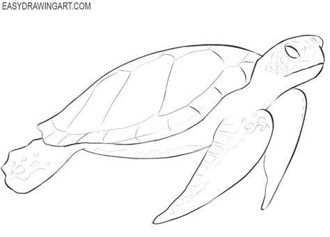 How to Draw a Sea Turtle - Easy Drawing Art Cute Turtle Drawings, Turtle Sketch, Cute Drawings ...