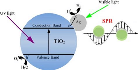 Schematic diagram of photocatalytic water splitting by Ag/TiO 2 based...