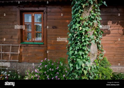 Polish countryside hi-res stock photography and images - Alamy