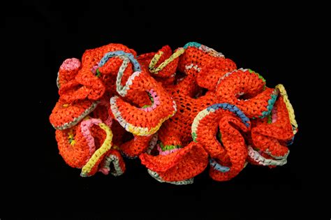 Gallery: What happens when you mix math, coral and crochet? It’s mind-blowing