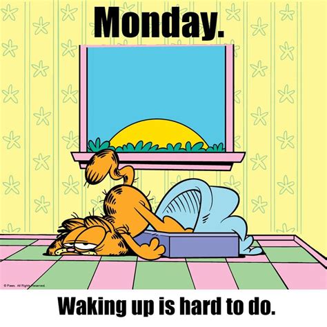 Nothing makes my eyelids hurt like Monday. | Garfield y sus amigos ...