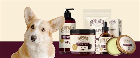 The Power of Omega-3 and Omega-6 Fatty Acids for Dog Health – Hemp Well