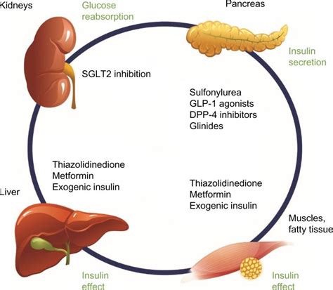 What are sglt2 inhibitors