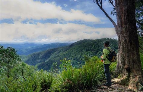 Gloucester Falls Walking Track | NSW Holidays & Accommodation, Things ...