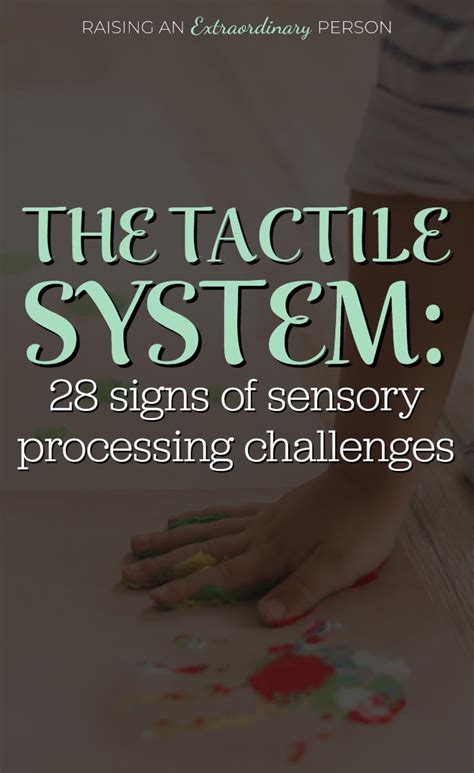 The Tactile System - Sensory Processing Systems Explained