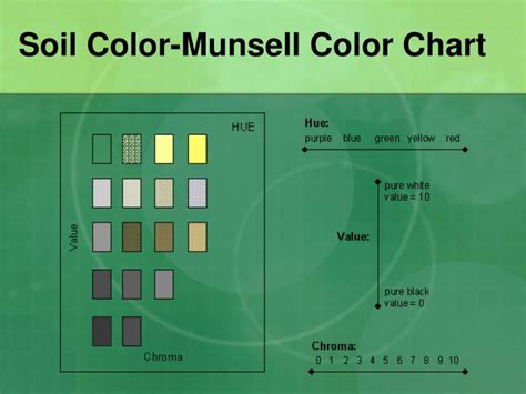 PPT - Growing Plants Hydroponically vs. In Soil: PowerPoint ...